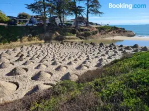 Sunny Cove Motel