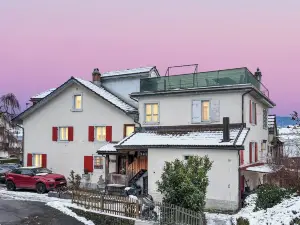 Elegant Lake Zurich House With Stunning Views and Private Terrace