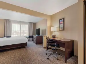 Comfort Inn Lathrop Stockton Airport
