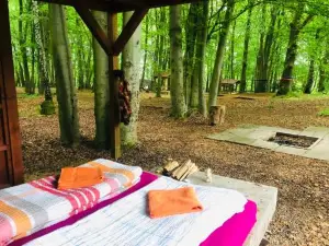 Schwedischer Shelter Unter Buchen