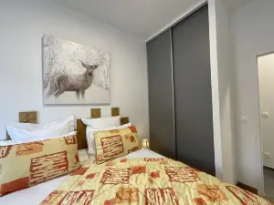 Appartement au Pied du Mont-blanc 2!