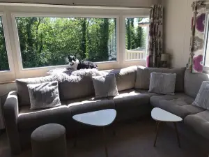 Badgers nestled in a cozy corner of the park