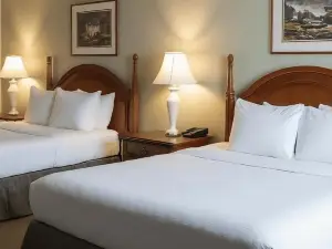 미드타운 인