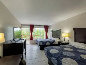 Executive Inn Beeville US 181 by Capital O