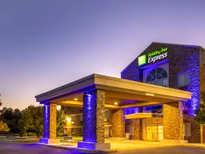 Holiday Inn Express & Suites SALISBURY - DELMAR by IHG