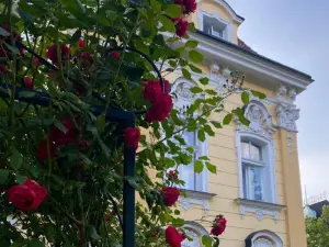 Salve Teplice