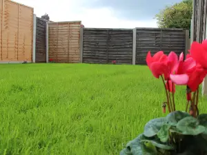 モッシュ ホームズ