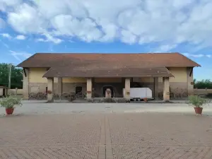 AGRITURISMO LE CORTI DELLA GUALDANA