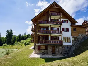 Pohorje Village Wellbeing Resort - Forest Hotel Videc