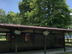 Pradileva