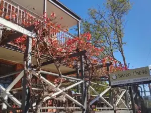 Myrtle Tree Lodge Trunks - Stand Alone Lodge in the Heart of Village