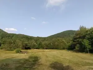 Podklanci-House in the Forest