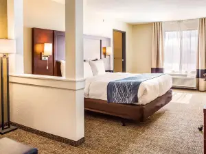 Comfort Inn & Suites Niagara Falls Blvd USA