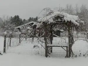 Spacious country retreat close to town and nature, Sylvana Farm VT