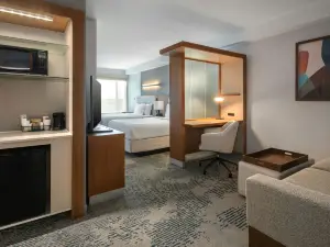 SpringHill Suites Buffalo Airport