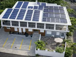 Rain Forest House by Otium