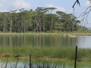 Oasis Eco Camp