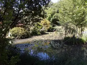 Le Chalet de la Grenouille Verte