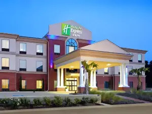 Holiday Inn Express & Suites HEARNE by IHG