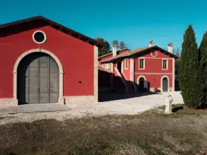Cantina d'Erasmo - Camere e Degustazioni