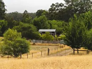 The Perch by Tiny Away