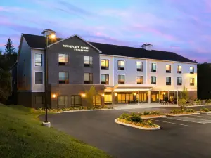 哈德利阿默斯特 TownePlace Suites 酒店