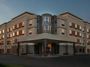 洲際酒店集團智選假日酒店亞特蘭大東北I-85克萊爾蒙特