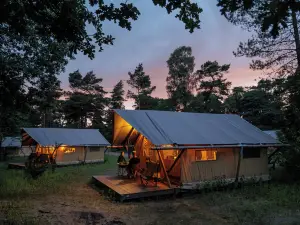 Huttopia de Veluwe