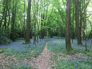 Melbury