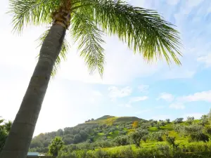 Kalos Relais