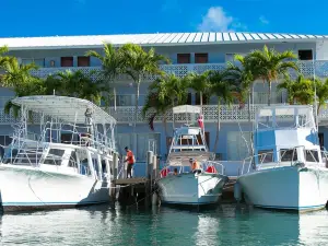 The Marlin at Taino Beach Resort