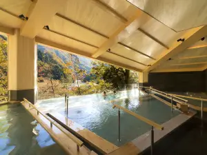 Kurobe Unazukionsen Yamanoha