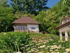 Provence Suceava
