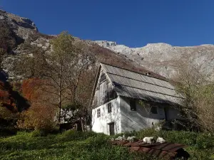 Elderflower Cottage in the Heart of Nature