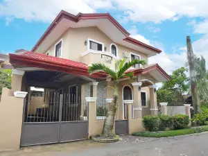 Big Transient House