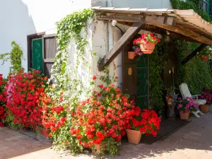 B&B Villa Sans Souci