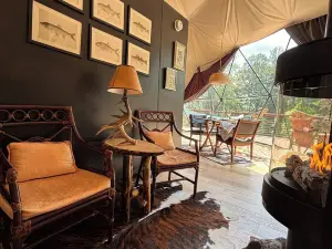 Domes at Catskills