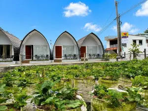 Glamping Assalam Syariah