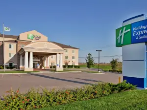 Holiday Inn Express & Suites Wichita Airport by IHG