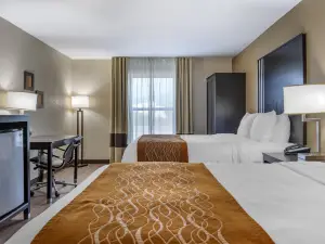 Comfort Inn Near Downtown & Blue Ridge Pkwy
