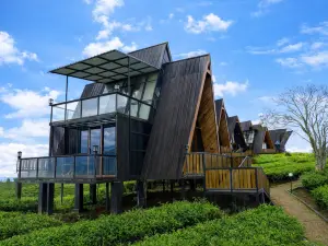 Nimo Tea Resort