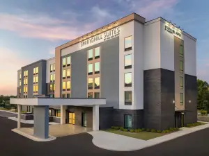 SpringHill Suites by Marriott Braselton