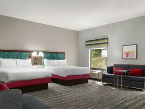Hampton Inn Roanoke/Hollins-I-81