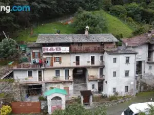 B&B Al Carotin