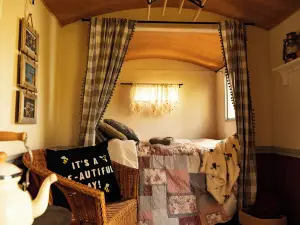 Holt Woodland Glamping - Shepherd Huts & Yurts Dog Friendly