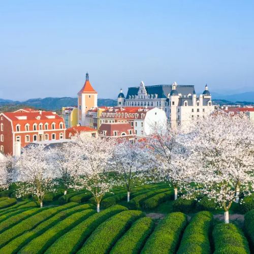 花田美地·安琪儿钟楼酒店299单晚通兑套餐