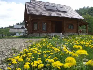 Cabana Piatra Runcului