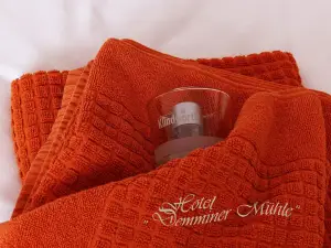 Hotel Demminer Mühle