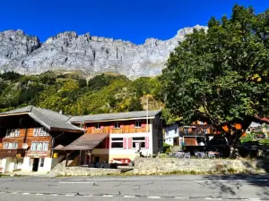 Gadmen Alpenrose, Switzerland