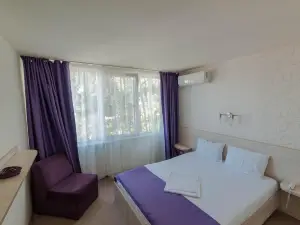 Hotel Doina
